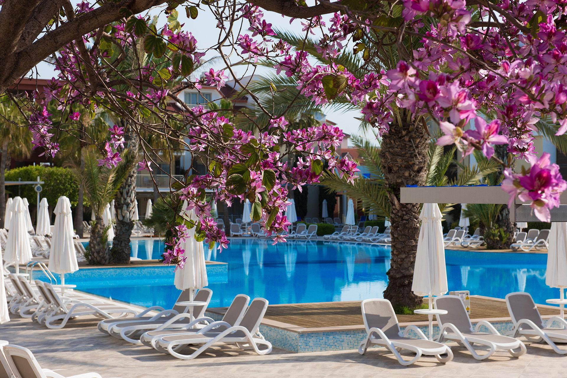 Barut B Suites 4* - bazén