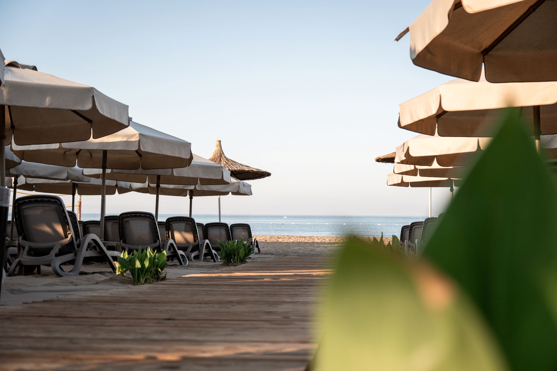 Adalya Bliss (ex. Adalya Resort) 5* - piesková pláž