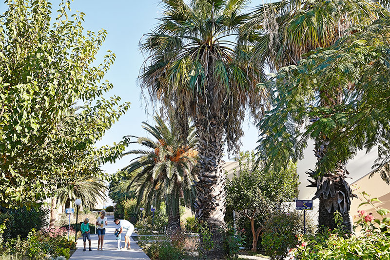Casa Paradiso 4*