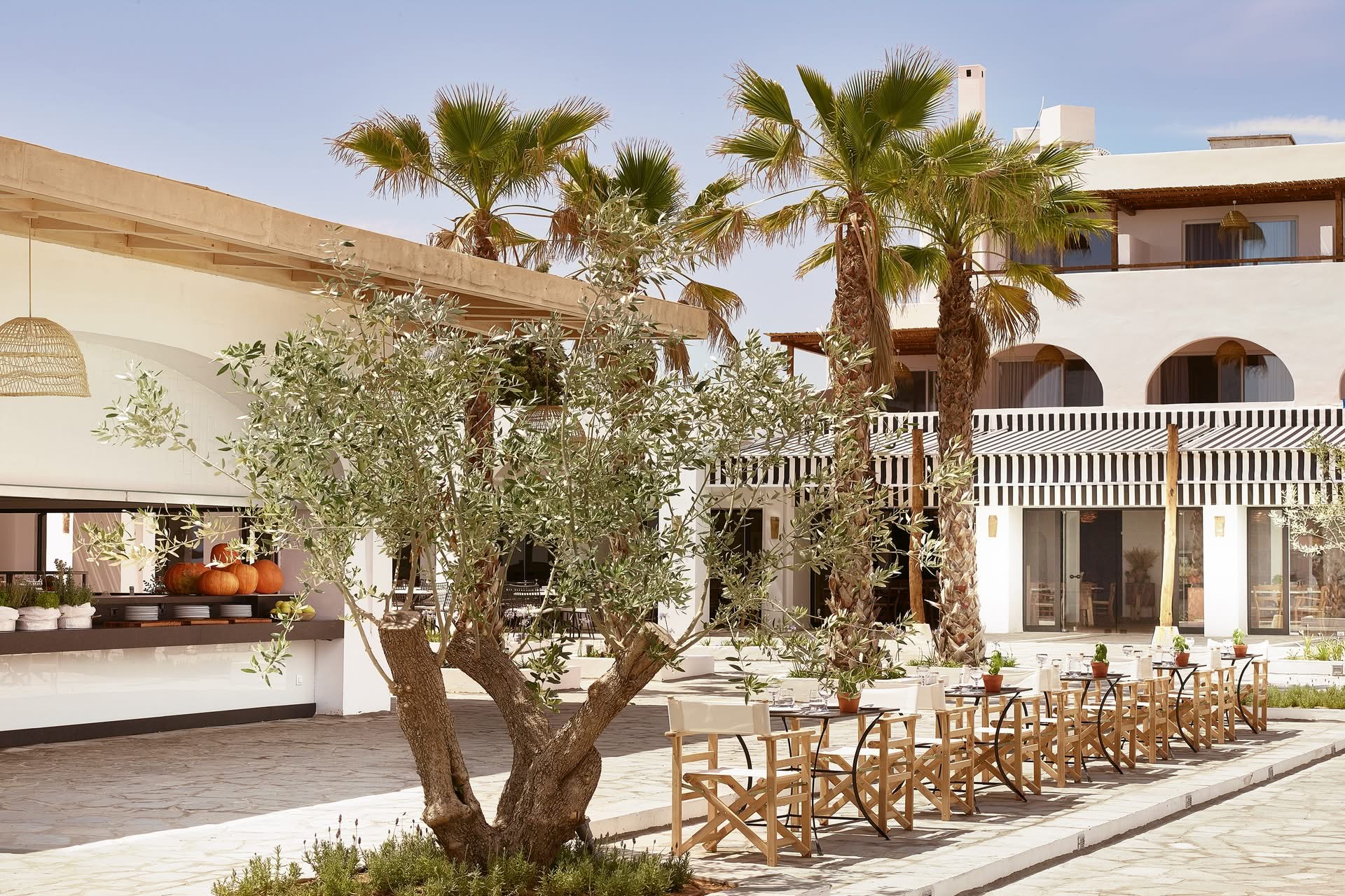 Grecotel Casa Marron 4* - reštaurácia