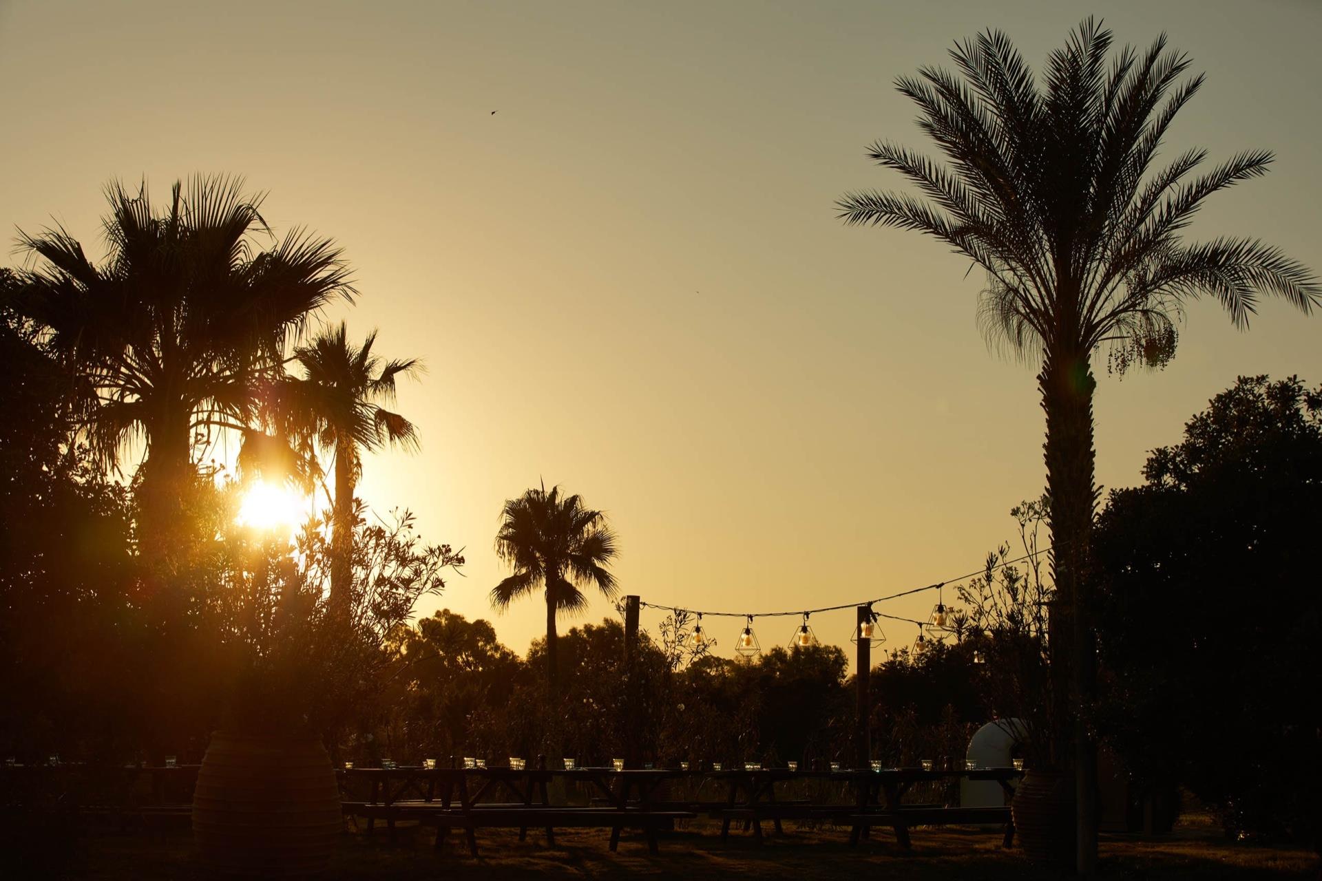 Mare Ayia Napa 5* - západ slnka