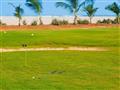 Iberostar Club Boa Vista 5* - golf