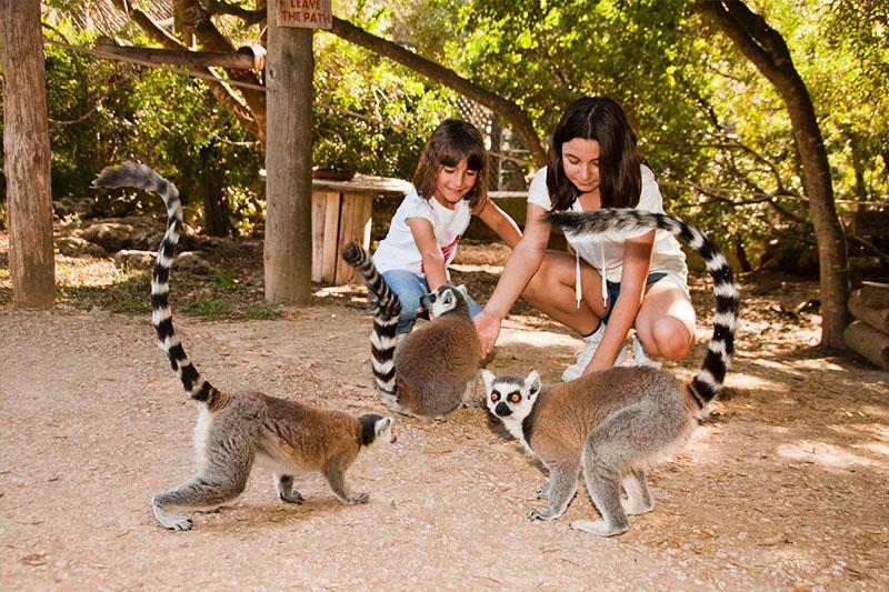 Trochu iná ZOO