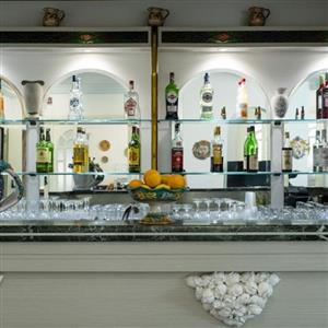 Hotel Panoramic 4* - bar